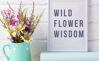 Wild Flower Healing